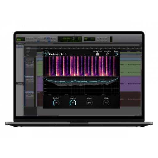 Accentize DeRoom Pro