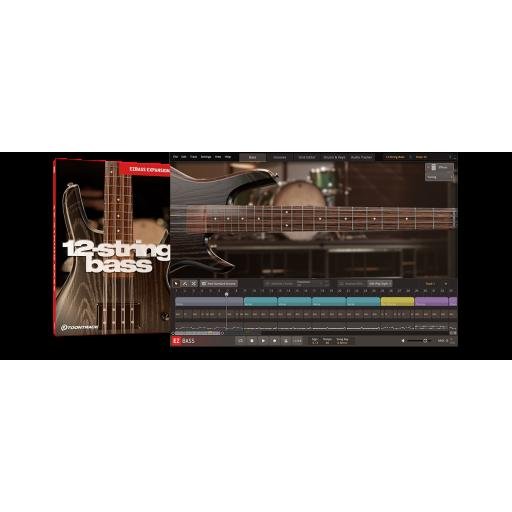 Toontrack 12-String Bass EBX