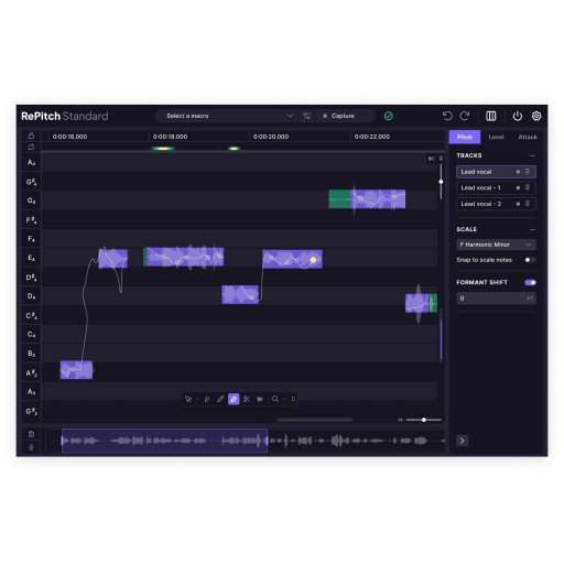 Synchro Arts RePitch 2 Standard