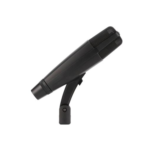 Sennhesier  MD421 II Large Diaphragm  Dynamic Microphone